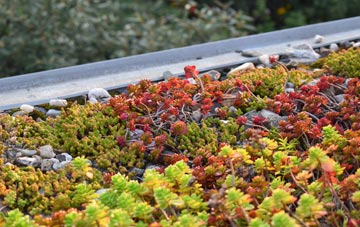 the cost of Brightling green roof installation