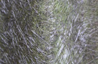 Brightling fibreglass roof work