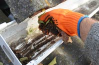 rated Brightling gutter cleaning companies